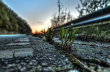 Более 300 штрафов выписали «Мосавтодору» за плохое содержание подмосковных трасс